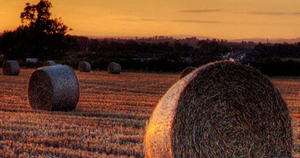 方华苑：高效生态农业助农增收